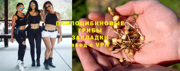 apvp Армянск